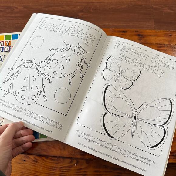 Vintage Bundle Of 3 Social Studies Curriculum Framework New Hampshire Workbooks - Picture 13 of 14